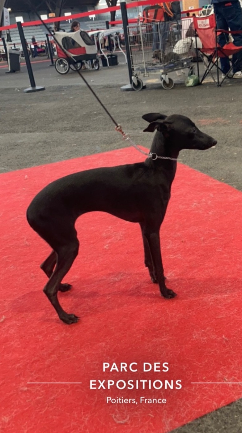 Unique Égérie De La Ribière Des Brumes