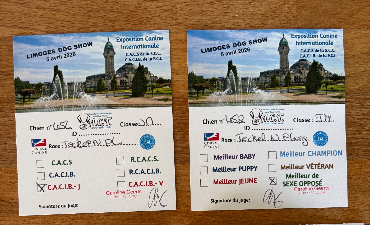 Spéciale de race de Limoges du 05 avril 2026