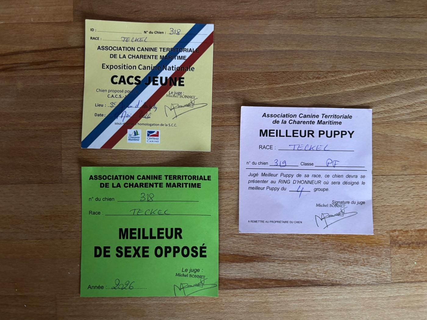 CACS de Jean-Jean d'Angely du 17 mai 2026